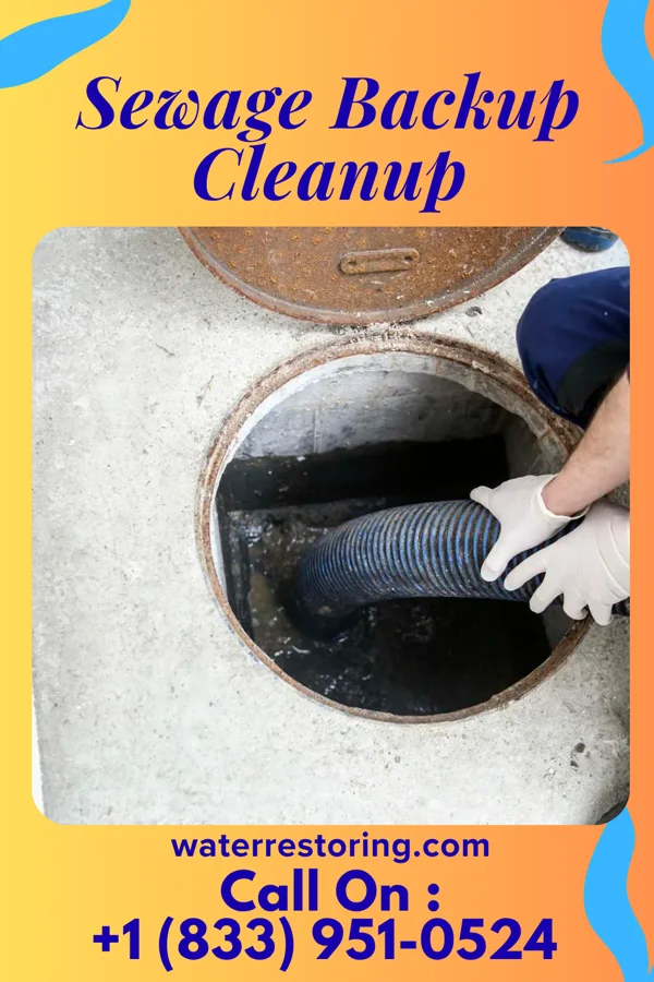 Sewage Backup Cleanup in Hanna City, IL